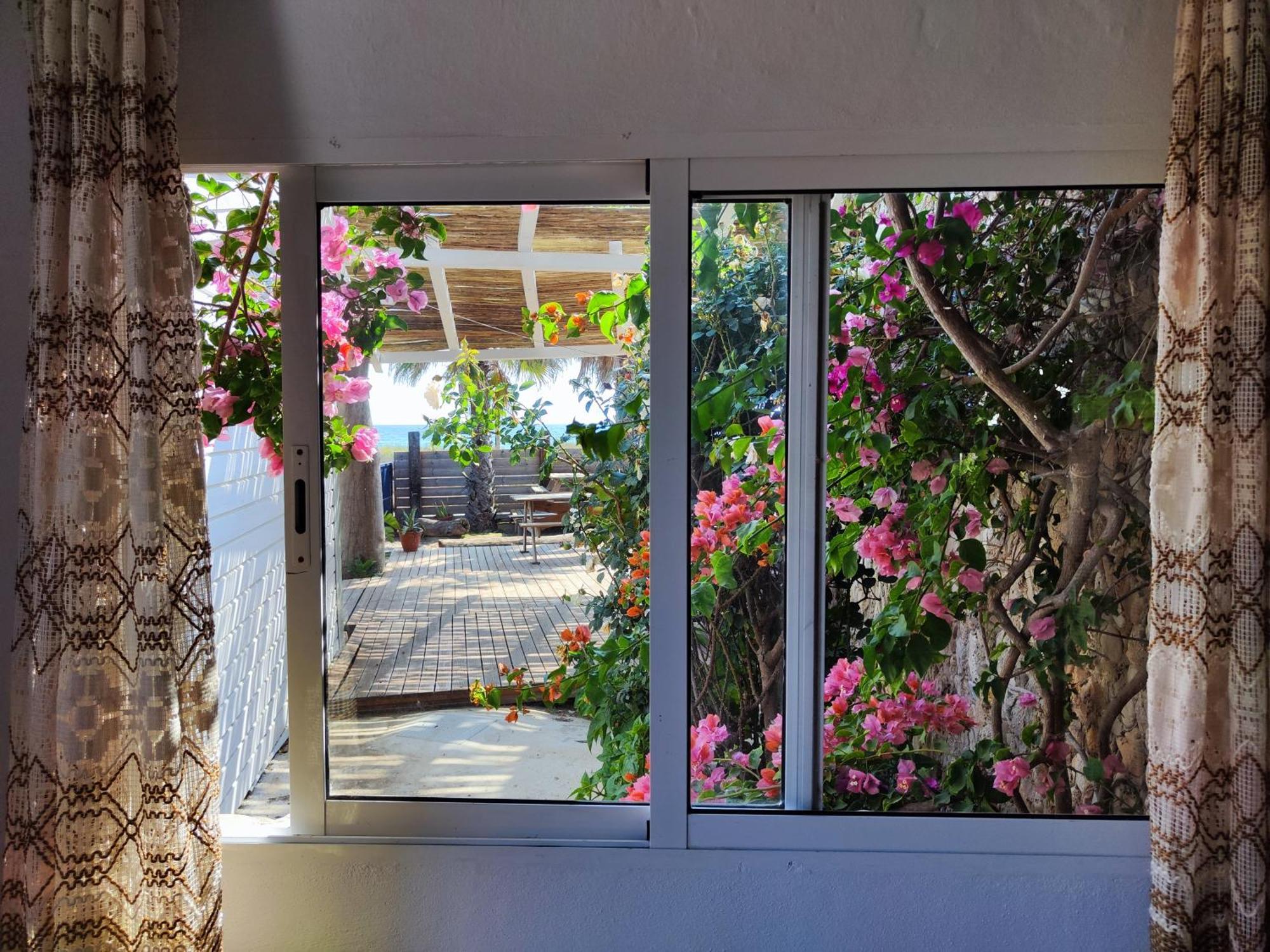 La Casa De Piedra A Orillas Del Mar Vejer de la Frontera Bagian luar foto